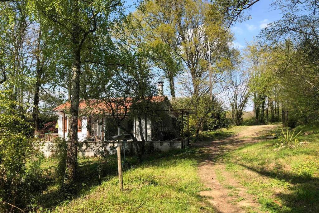 La Petite Maison au bord de l’étang Chirac  Extérieur photo